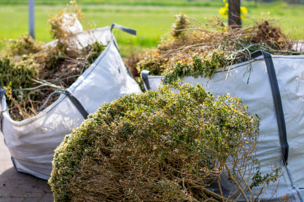 Best Yard Waste Removal  in Lakeside, CA